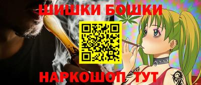 гидра Новодвинск