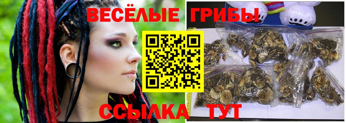 Псилоцибиновые грибы мицелий Сланцы