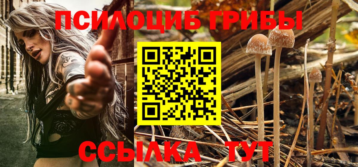 Сланцы  Псилоцибиновые грибы MAGIC MUSHROOMS  Вход с VPN 